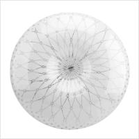 21035296_0