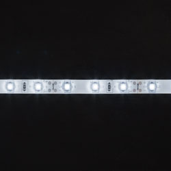 21024979_0
