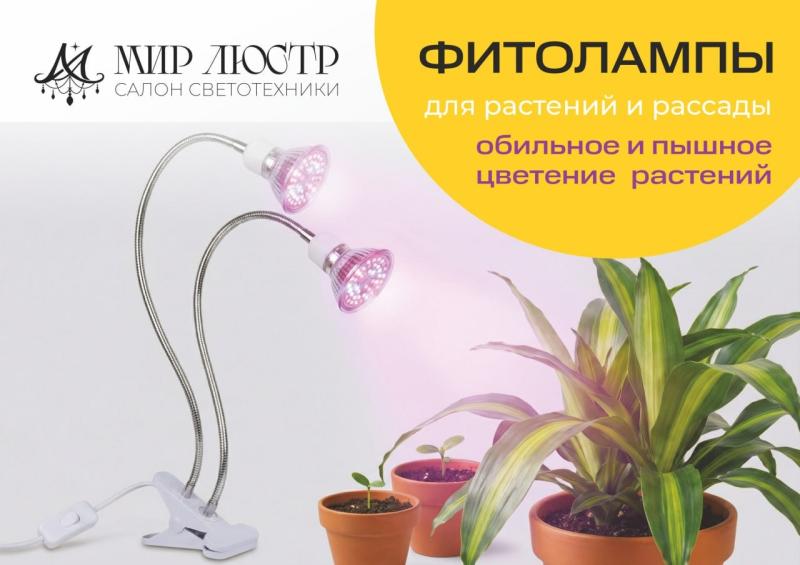 Фитолампа для растений