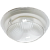 21031235_0