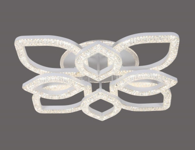 21048089_0