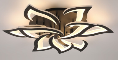 21049619_0