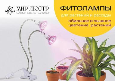 Фитолампа для растений