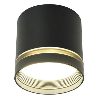 Светильник потолочный GX53 12W 230V, черный HL461