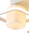 21038372_0 21038372_0
