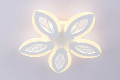 21044174_0