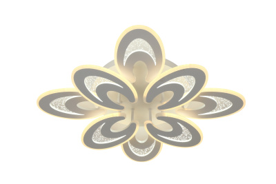 21042311_0
