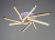 21049424_0 21049424_0