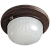 21031443_0