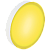 21033924_0