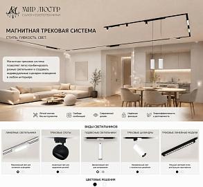 Скидки на магнитно-трековые системы