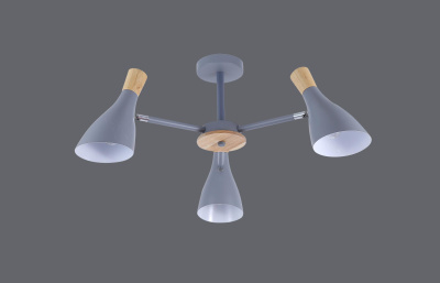 MS-001319-3GR (2)